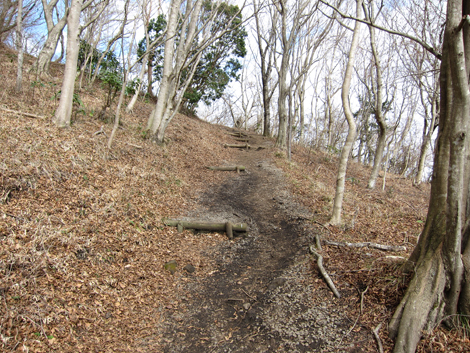 20200122hike (74)